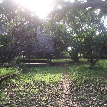 فندق أورفيلافي  Art Forest المظهر الخارجي الصورة