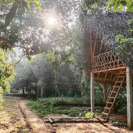 فندق أورفيلافي  Art Forest المظهر الخارجي الصورة