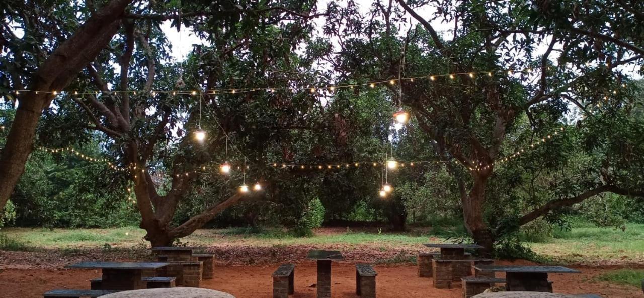 فندق أورفيلافي  Art Forest المظهر الخارجي الصورة