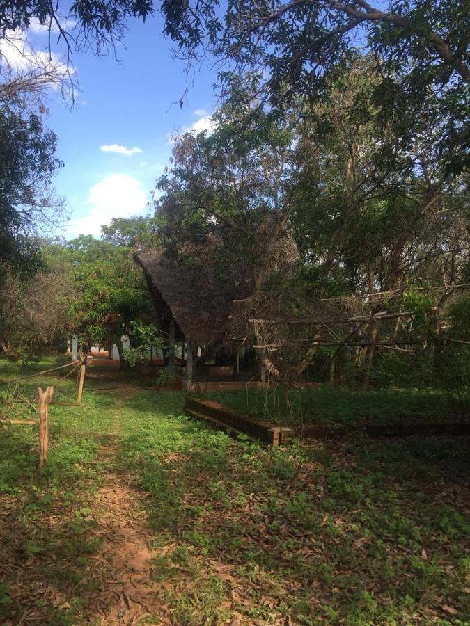 فندق أورفيلافي  Art Forest المظهر الخارجي الصورة