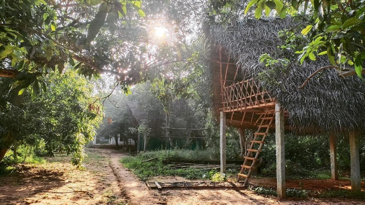 فندق أورفيلافي  Art Forest المظهر الخارجي الصورة